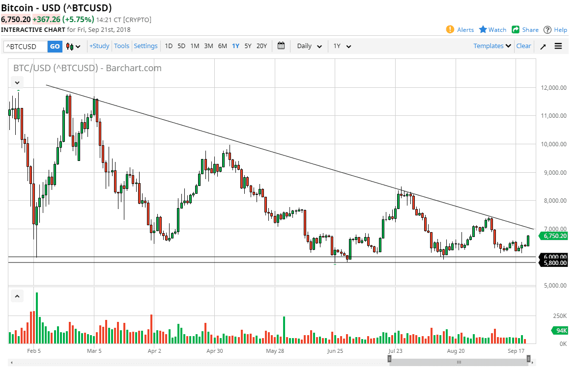Bitcoin daily forecast Bitcoin daily forecast